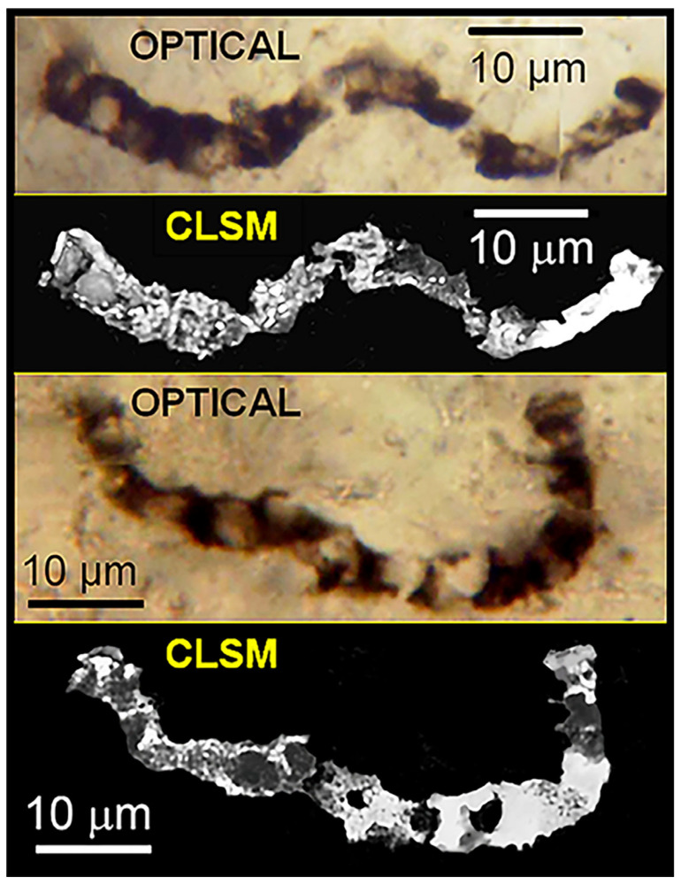 Figure 21