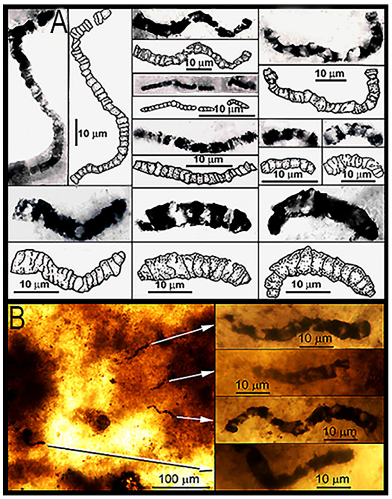 Figure 20