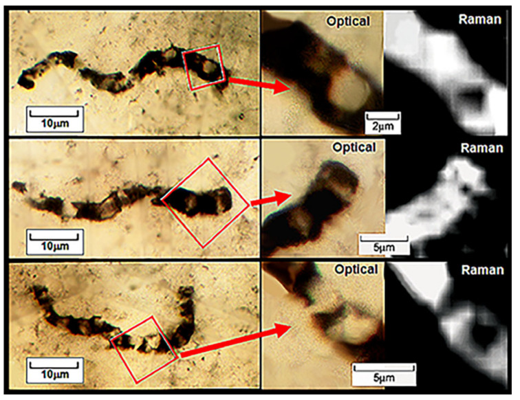 Figure 22