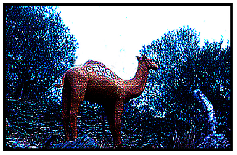 Figure 15