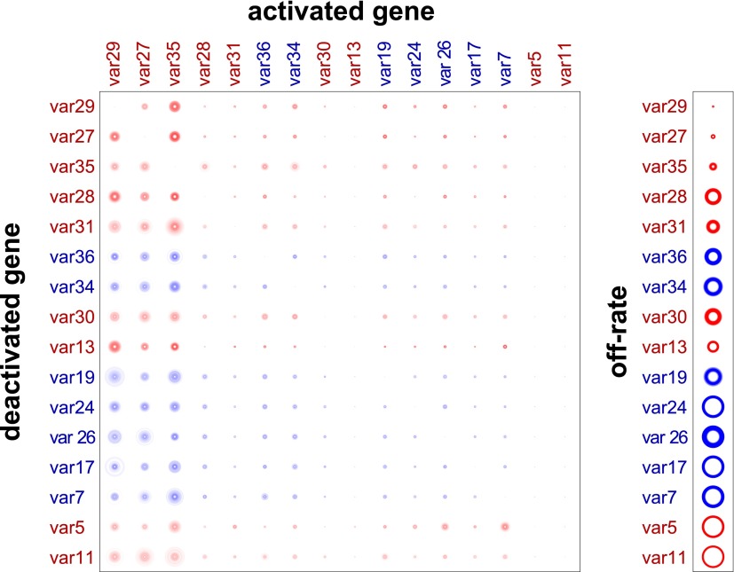 Figure 2—figure supplement 1.