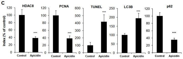 Figure 5.