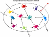Fig. (3). Metabolic control theory and gene networks.