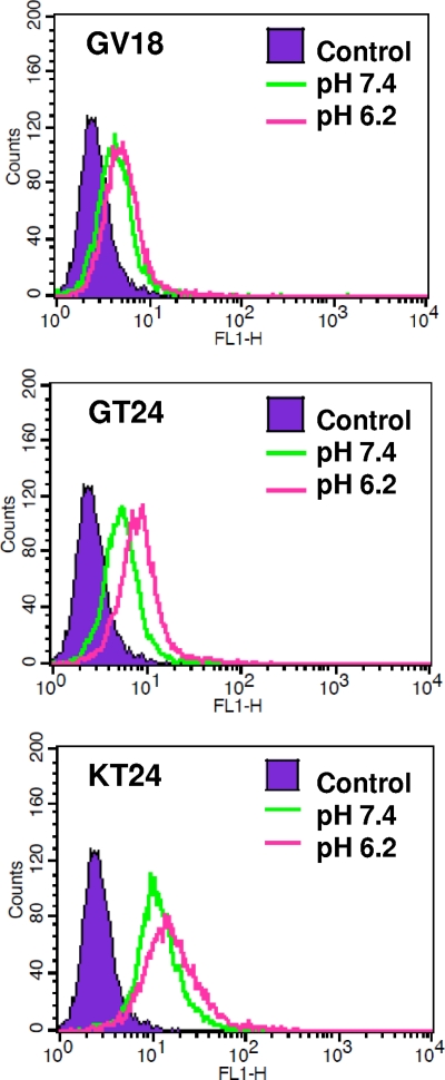 Fig 2