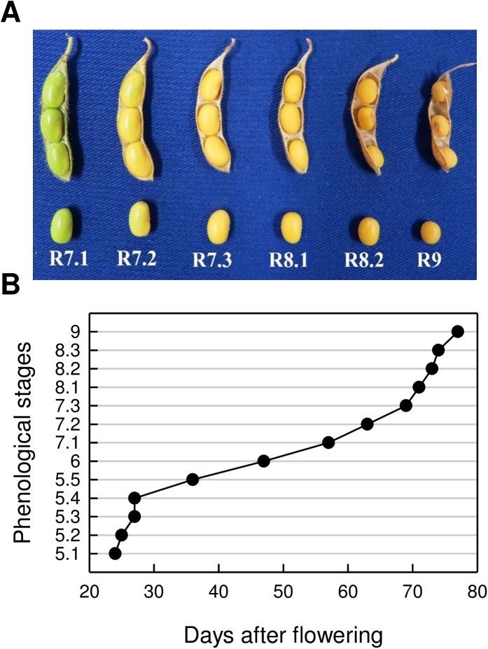 Fig 1