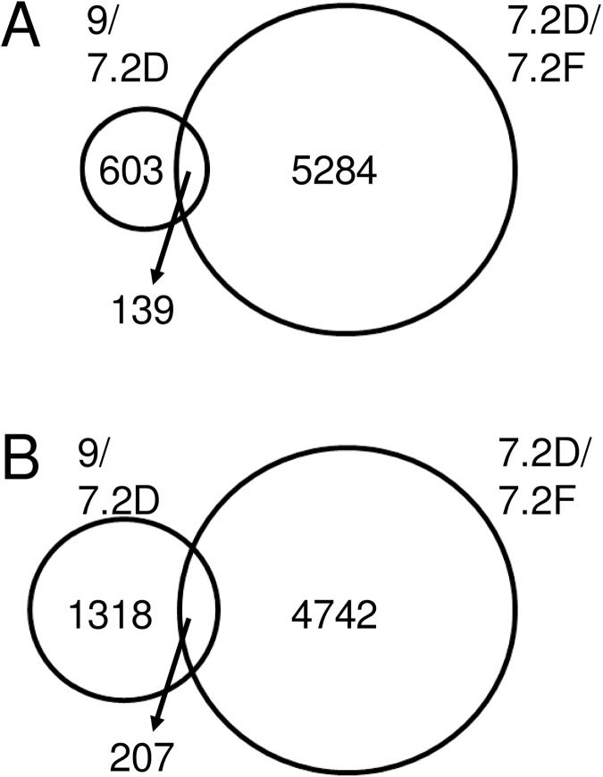 Fig 9