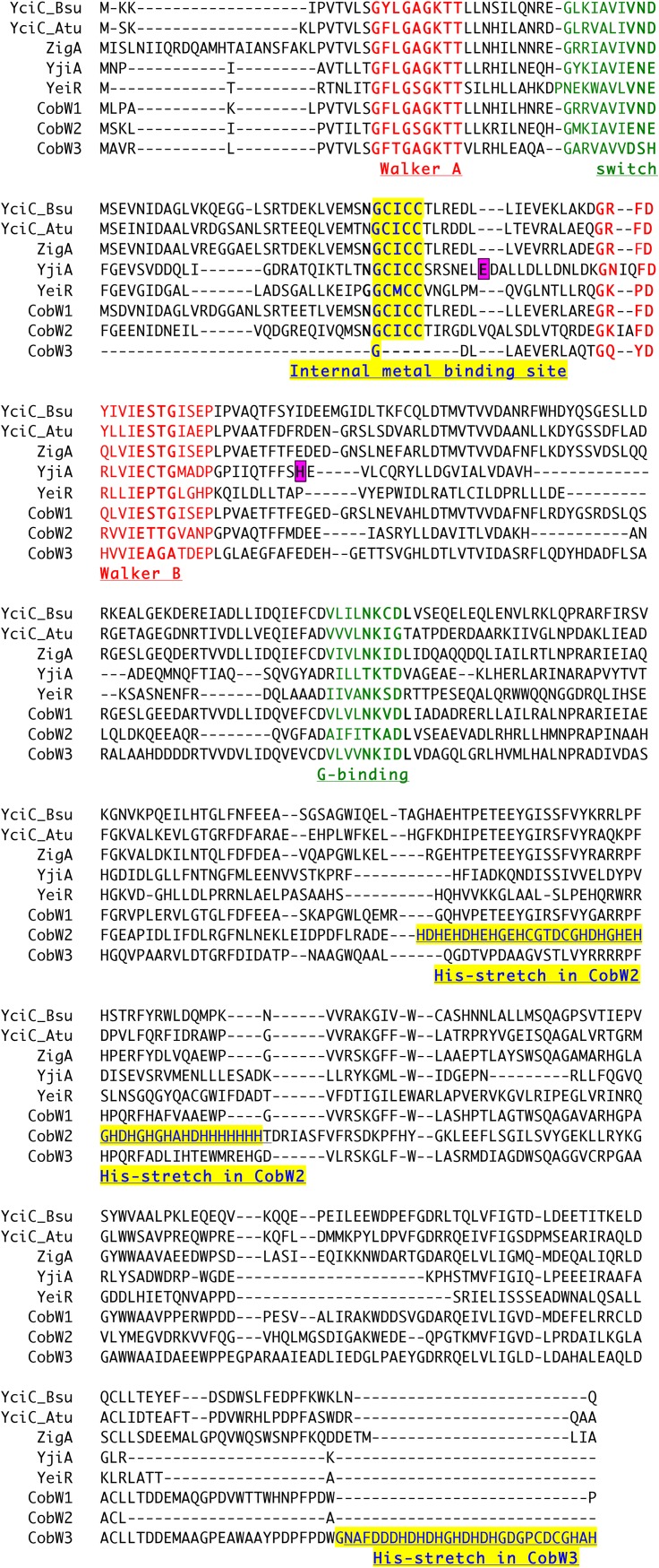 FIG 3