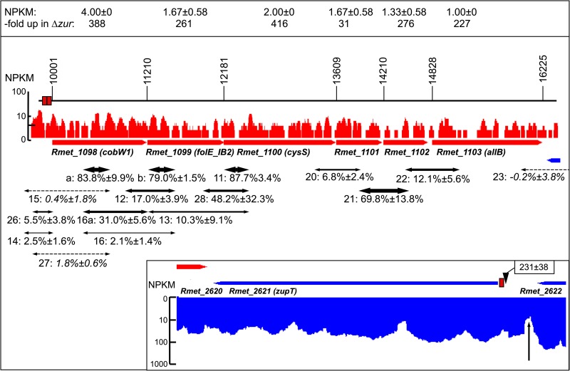 FIG 2