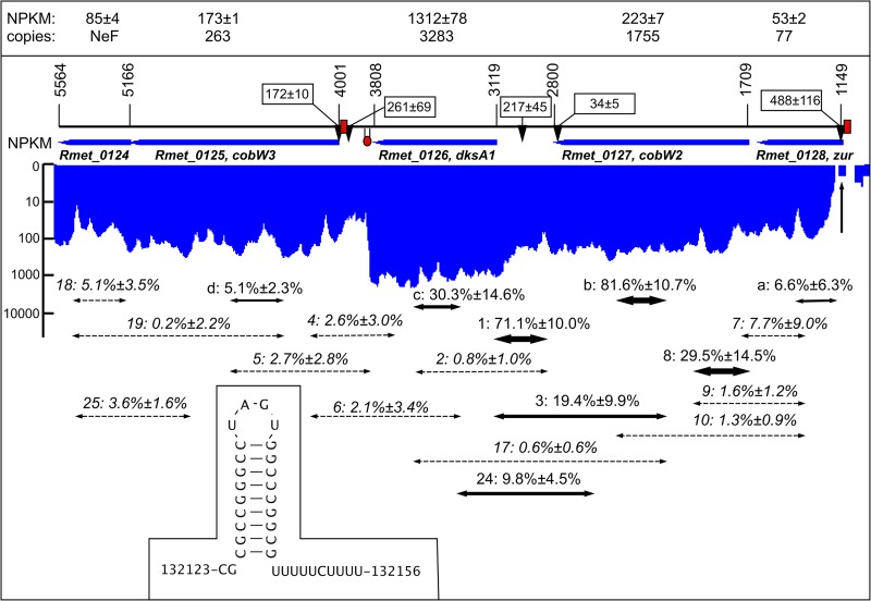 FIG 1