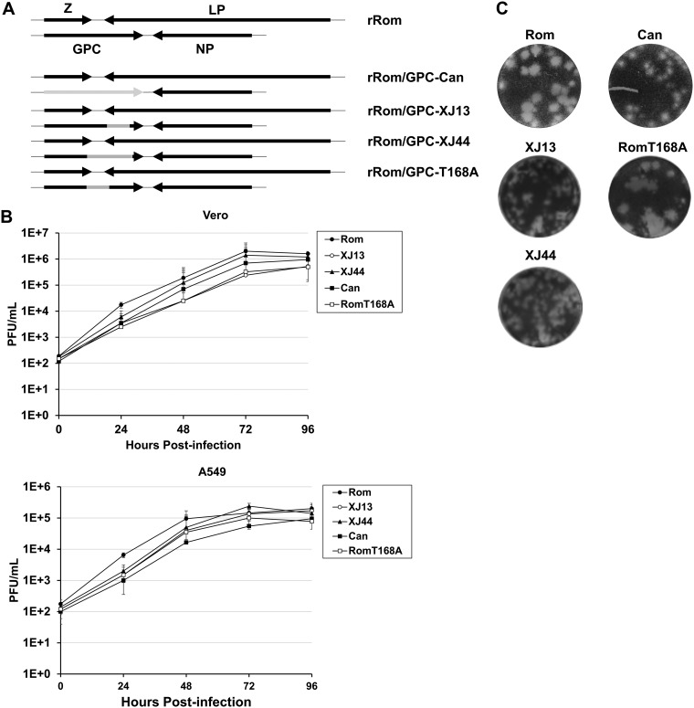 FIG 3