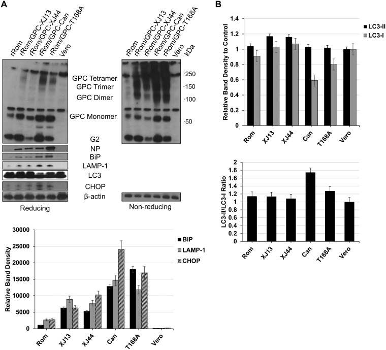 FIG 4