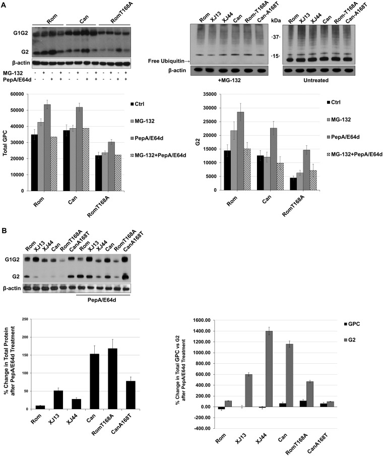 FIG 2