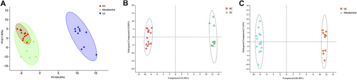 FIGURE 3