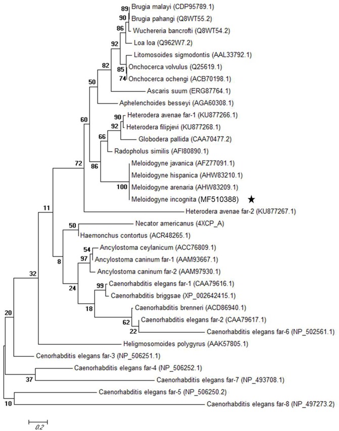 FIGURE 2