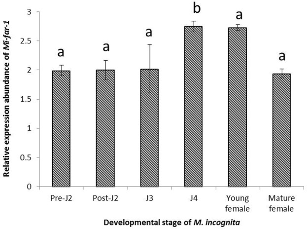 FIGURE 4