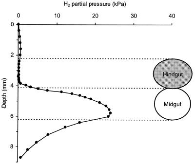 FIG. 5