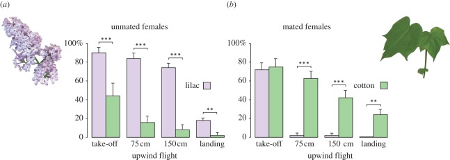 Figure 1.