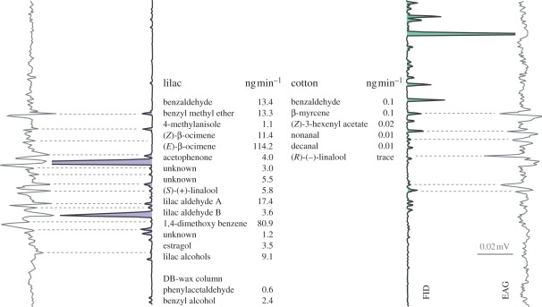 Figure 2.