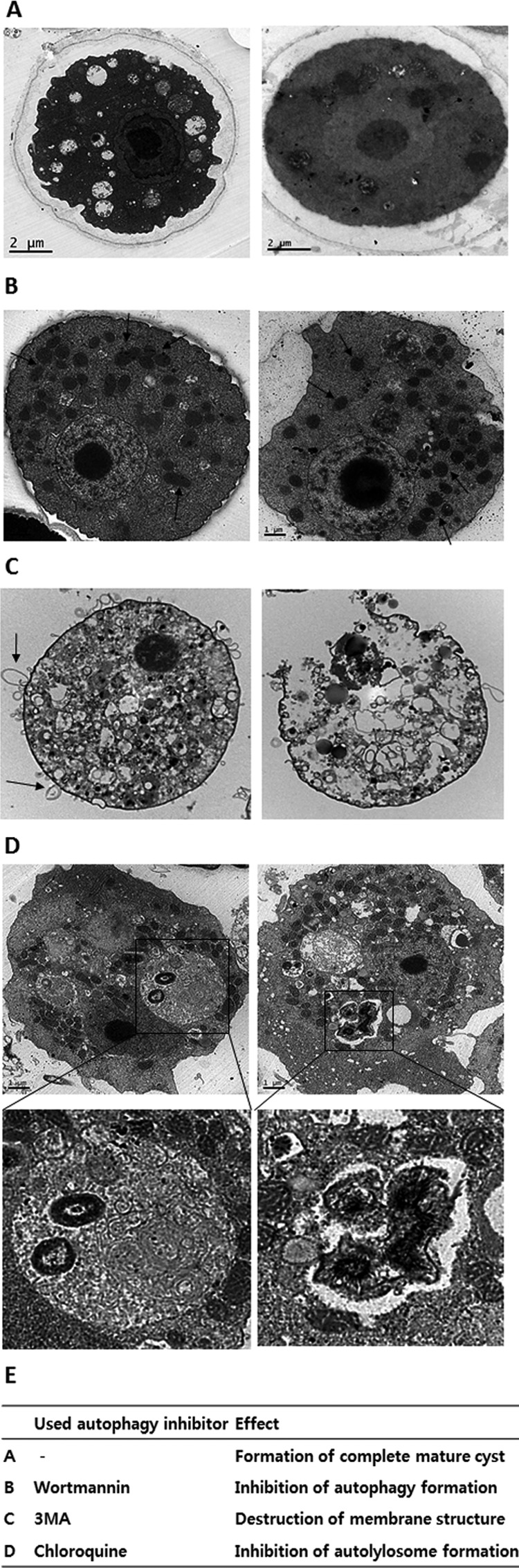 FIG 2