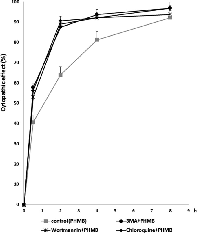 FIG 5