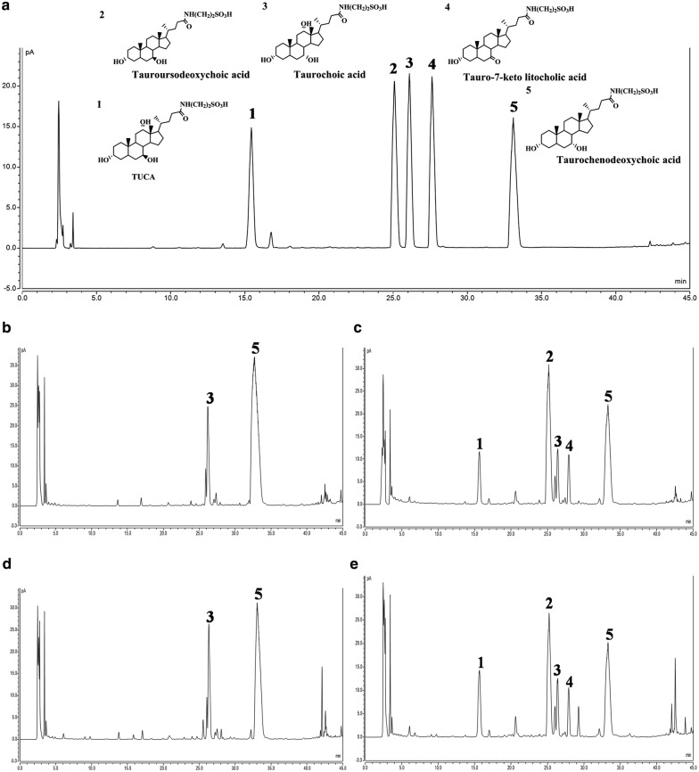 Fig. 6