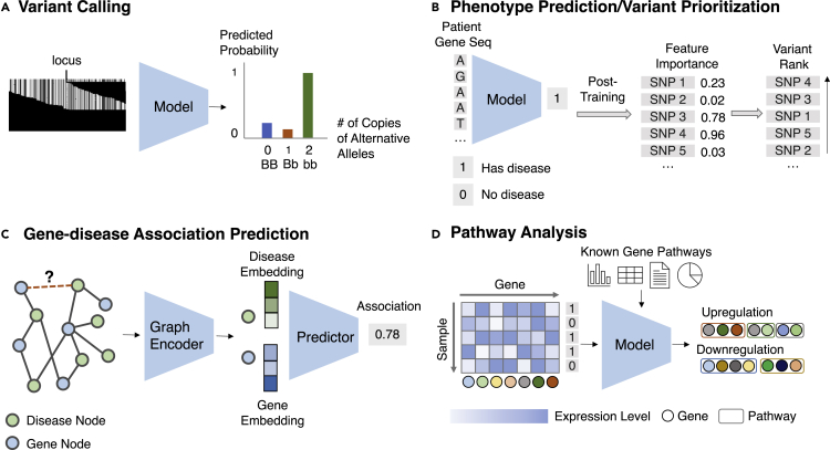 Figure 6