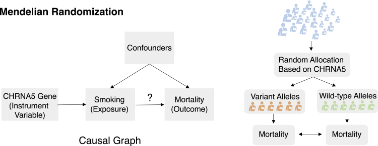 Figure 11