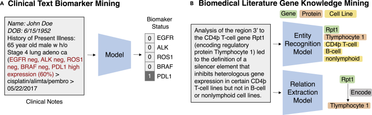 Figure 12