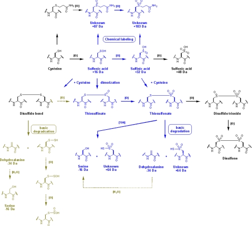 Scheme 2.