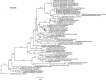Figure 6: