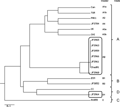 Fig. 1.