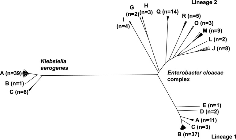 FIG 1