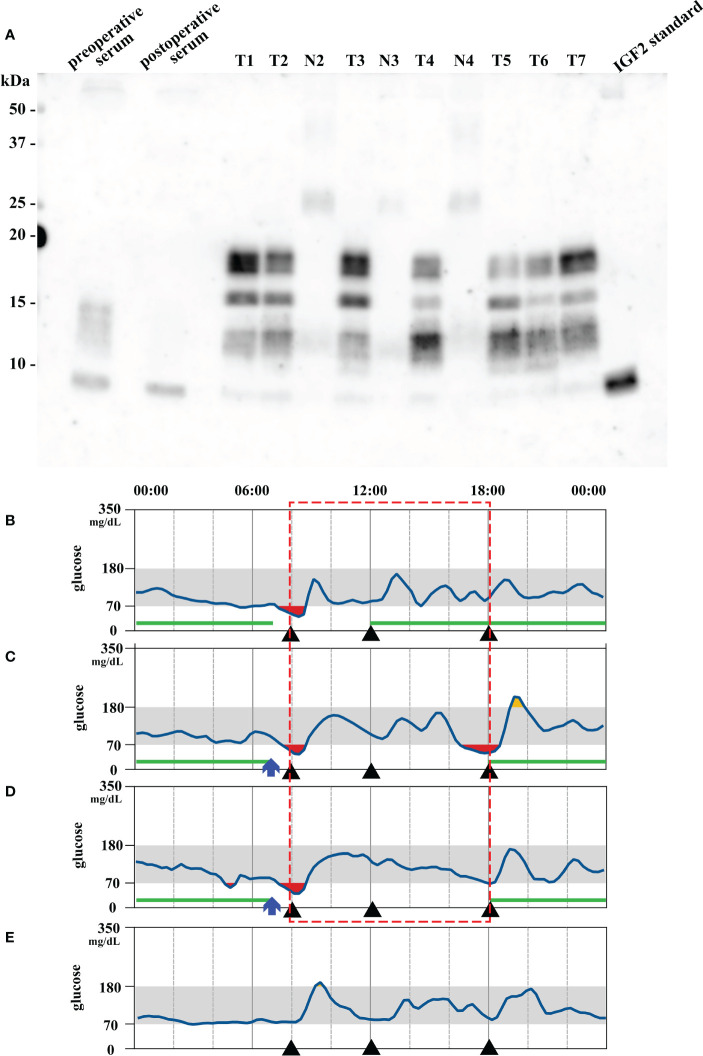 Figure 2