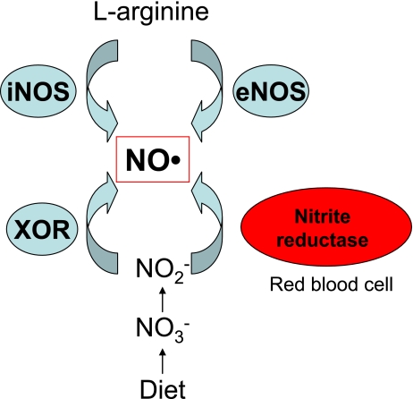 Fig. 1