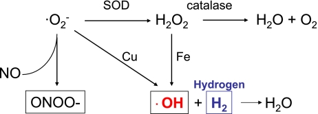 Fig. 3