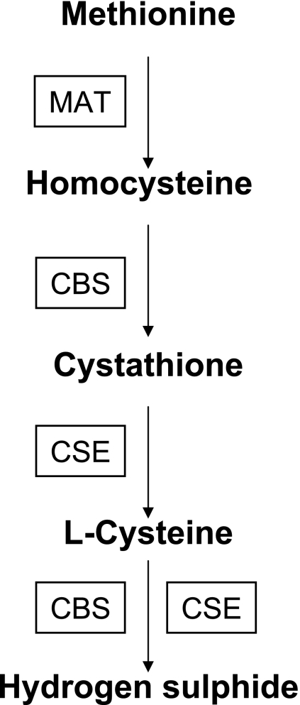 Fig. 5