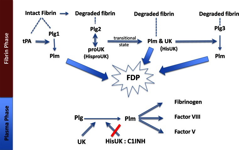 Fig. 1