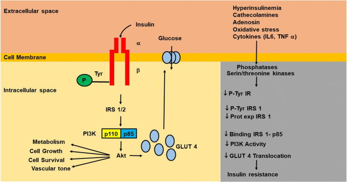 Fig. 2