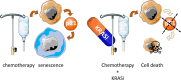 Image, graphical abstract