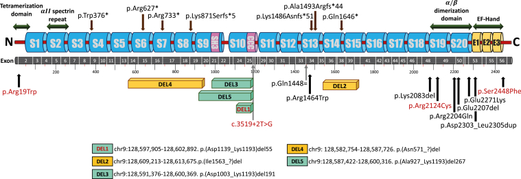 Figure 2