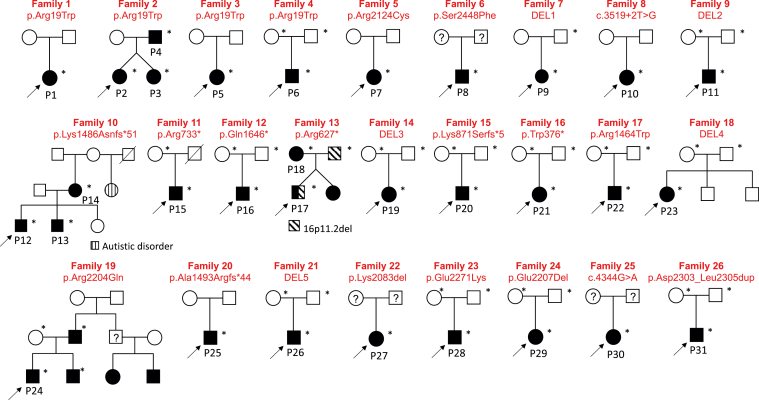 Figure 1