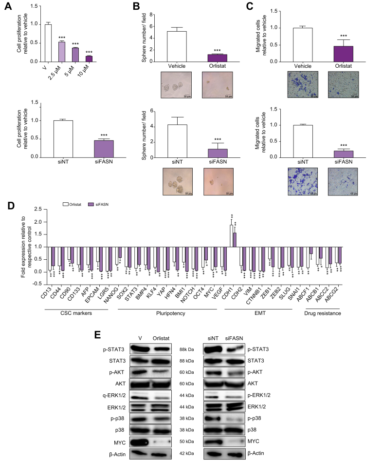 Fig. 7