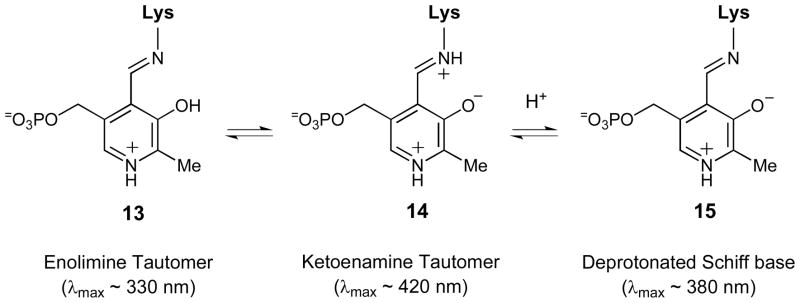 Scheme 4