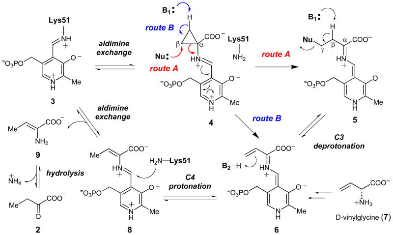 Scheme 2