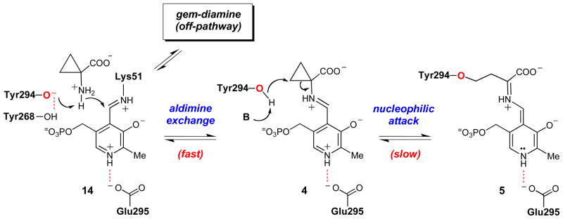 Scheme 6