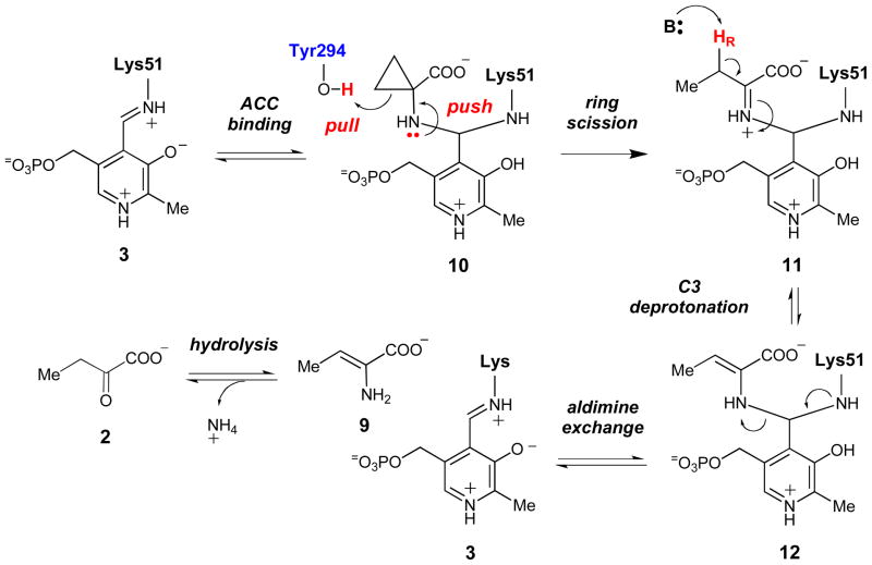 Scheme 3