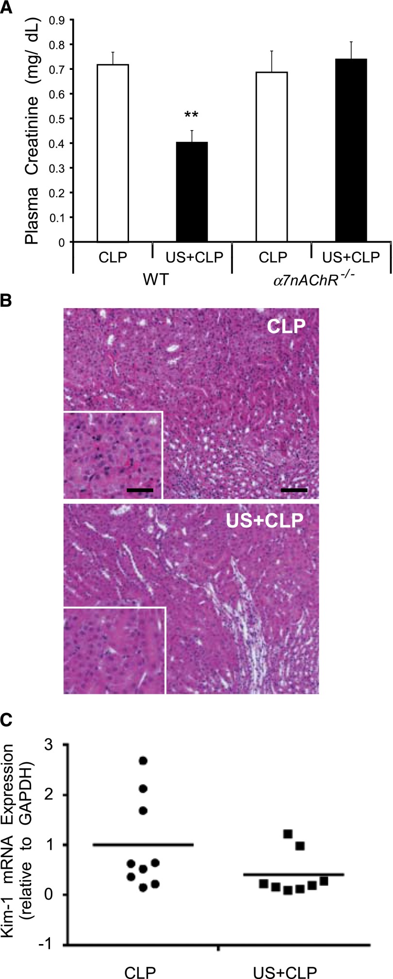 Figure 10.