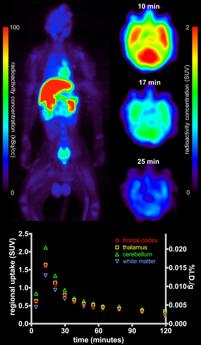 Figure 2.