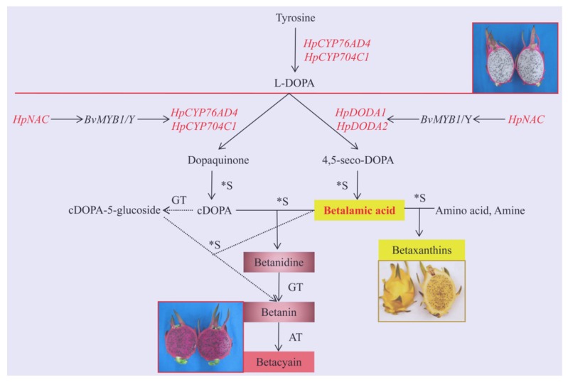 Figure 6