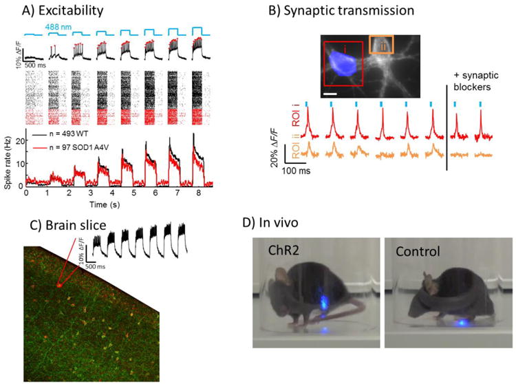 Figure 4